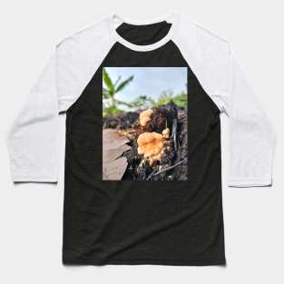 Orange Mushroom Baseball T-Shirt